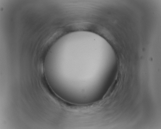 X0000074310021200609081953