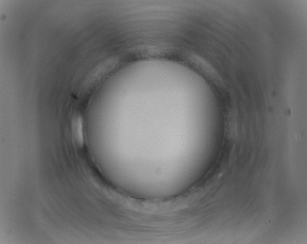 X0000074310022200609081953