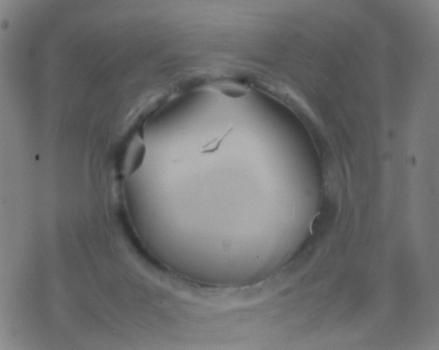 X0000074310023200609081953