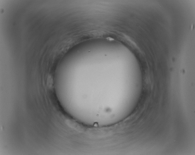 X0000074310025200609081953