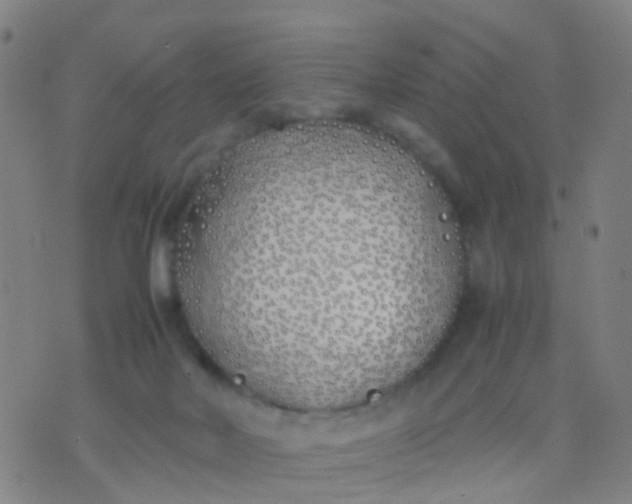 X0000074310026200609081953