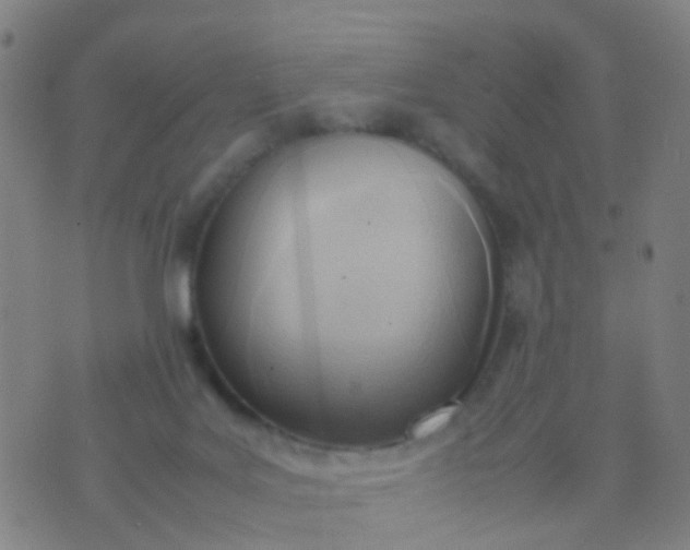 X0000074310027200609081953