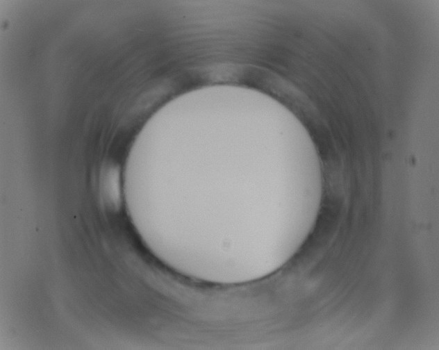 X0000074310028200609081953