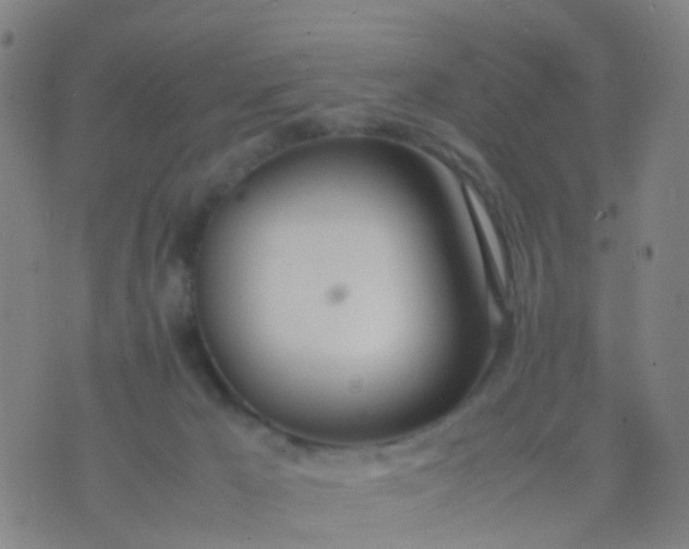 X0000074310029200609081953