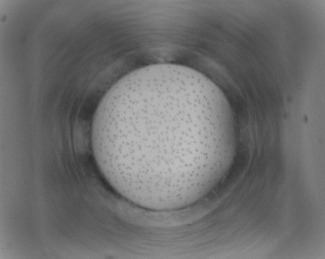 X0000074310030200609081953