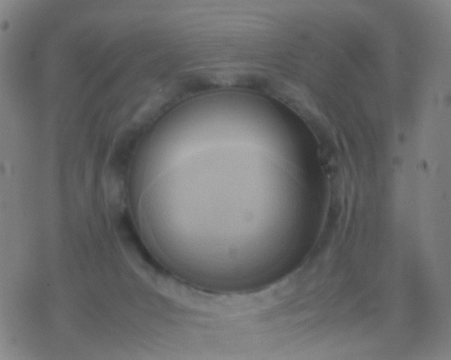 X0000074310031200609081953