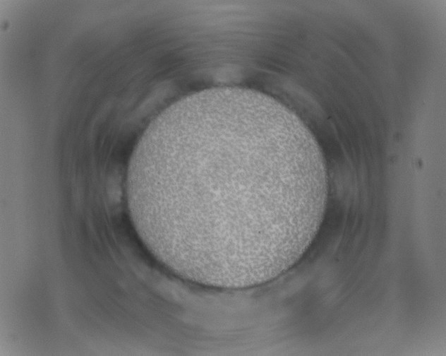 X0000074310032200609081953