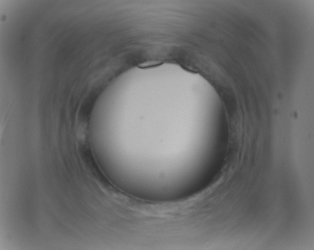 X0000074310033200609081953