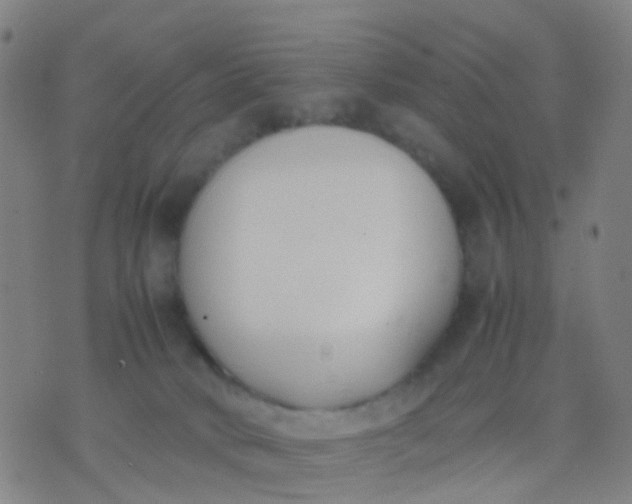 X0000074310034200609081953