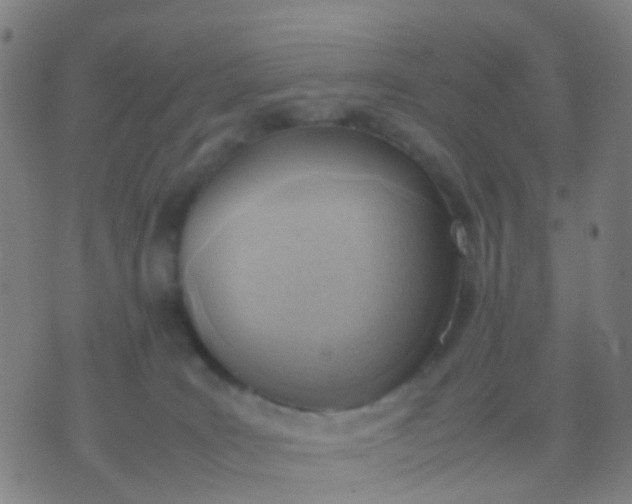 X0000074310035200609081953