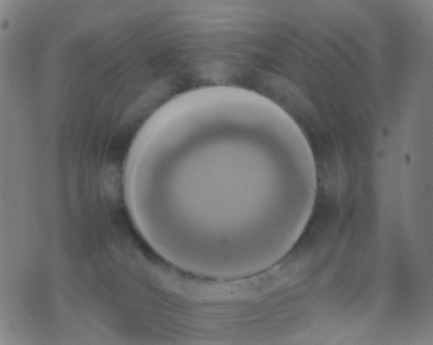 X0000074310036200609081953