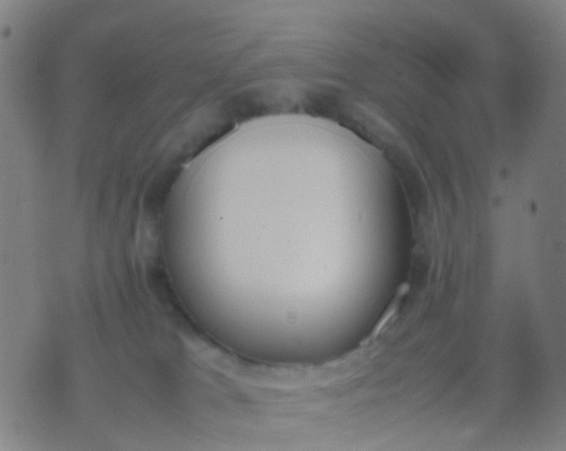 X0000074310037200609081953