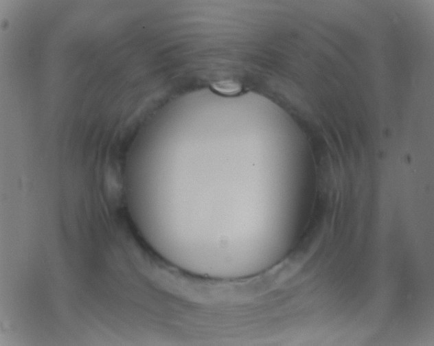 X0000074310040200609081953