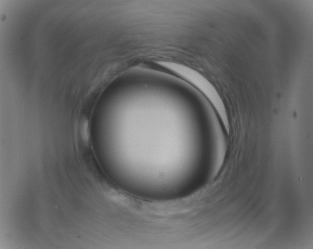 X0000074310041200609081953