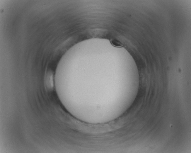 X0000074310042200609081953