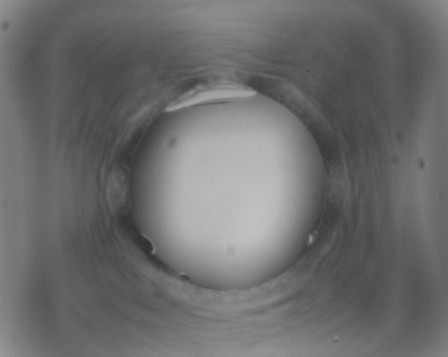 X0000074310043200609081953