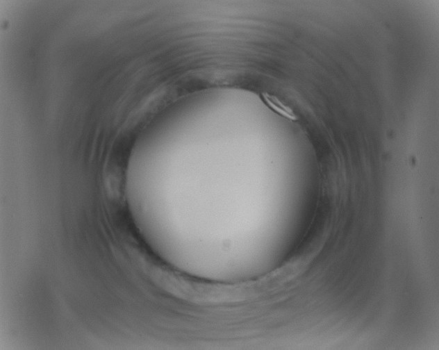 X0000074310044200609081953