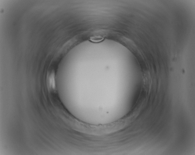 X0000074310046200609081953