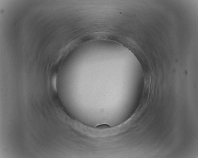 X0000074310047200609081953