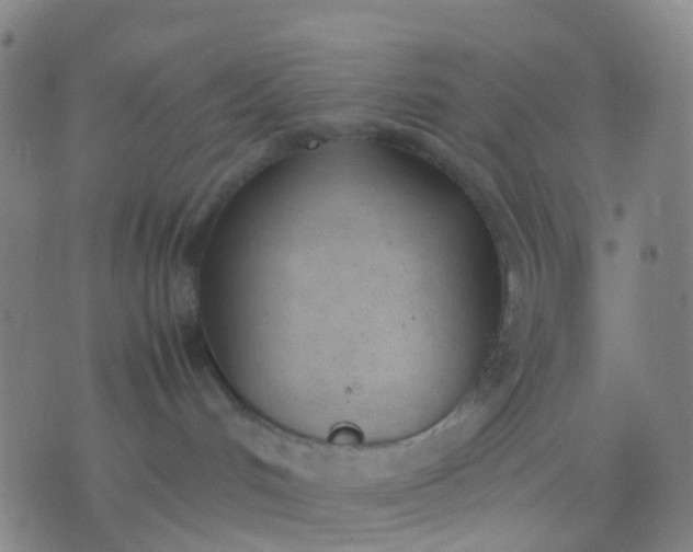 X0000074310048200609081953