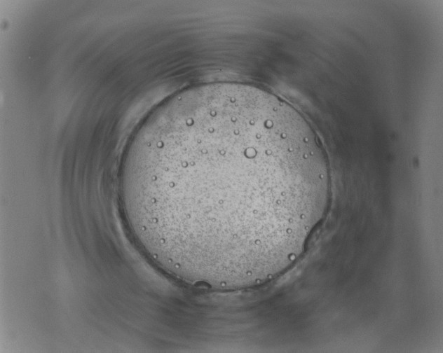 X0000074310049200609081952