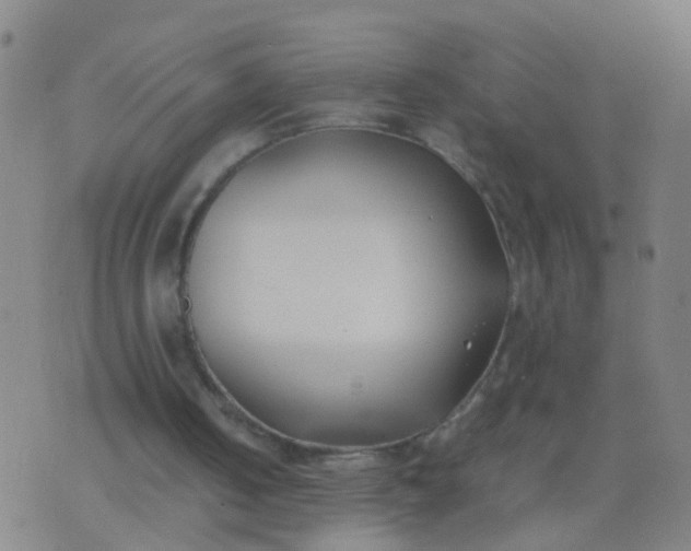 X0000074310050200609081952