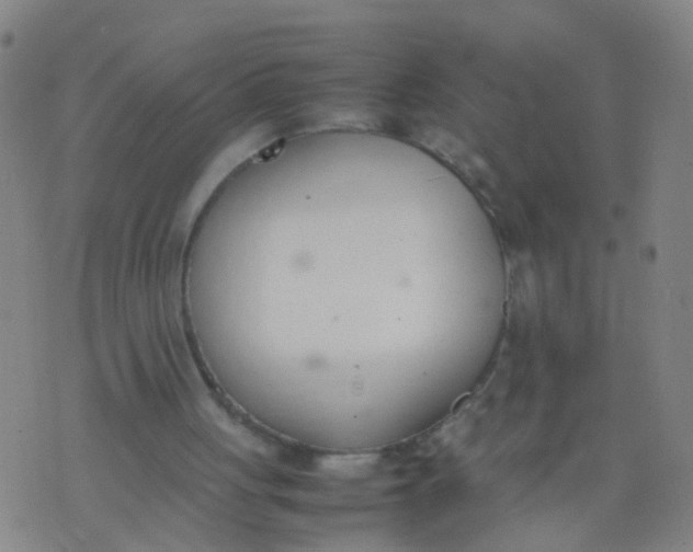 X0000074310051200609081952