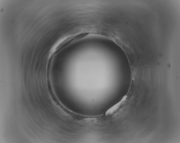 X0000074310052200609081952