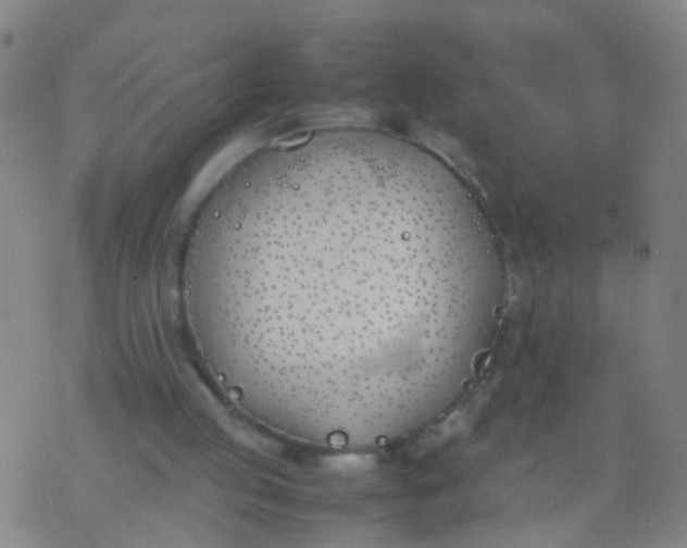 X0000074310053200609081952