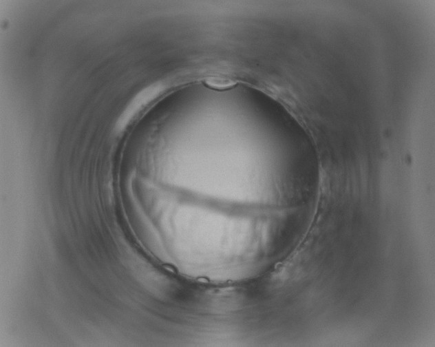 X0000074310054200609081952