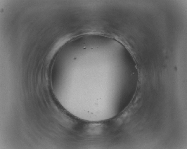 X0000074310055200609081952