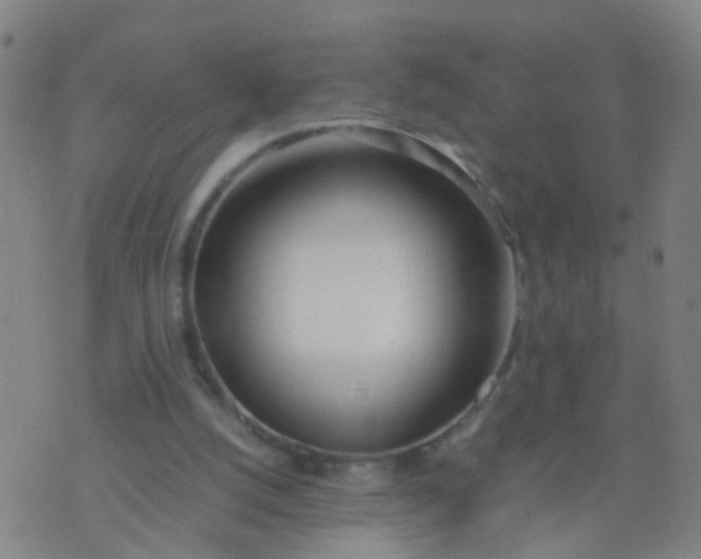 X0000074310056200609081952