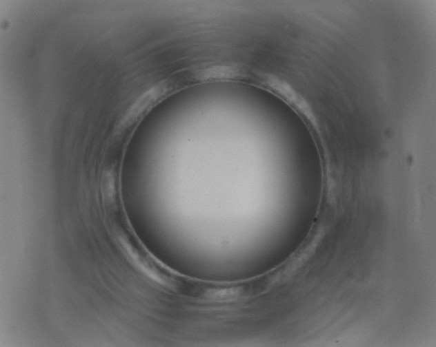 X0000074310057200609081952