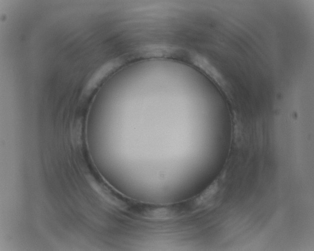 X0000074310058200609081952