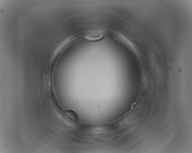 X0000074310059200609081952