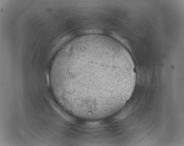 X0000074310061200609081952