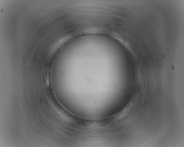 X0000074310062200609081952