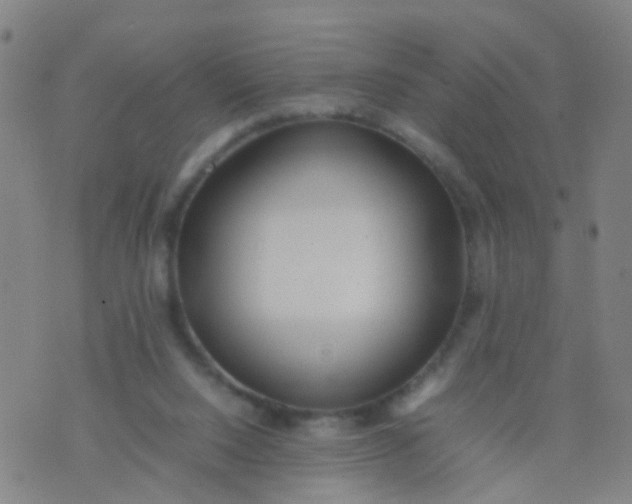 X0000074310064200609081952