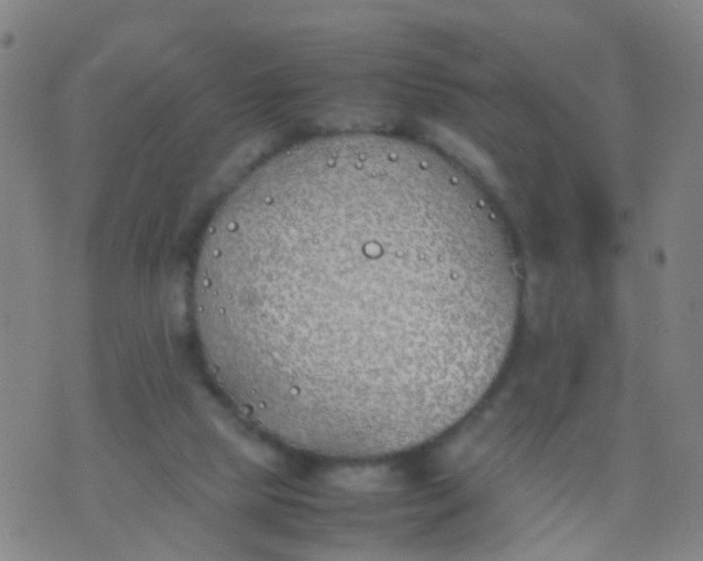 X0000074310065200609081952