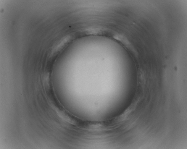 X0000074310066200609081952