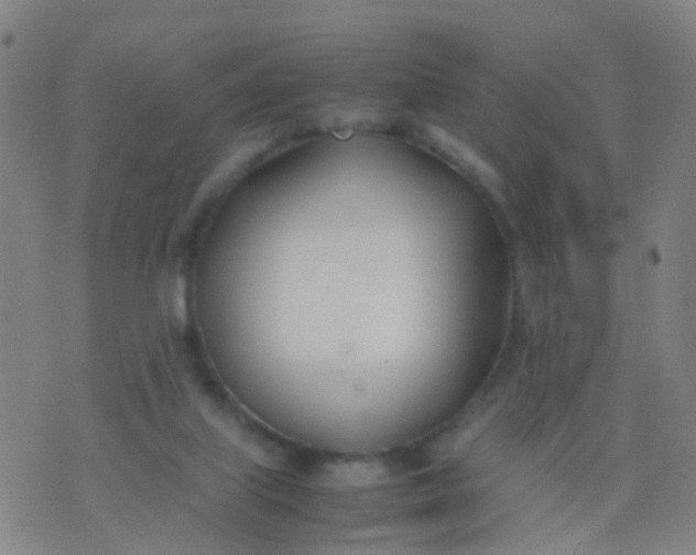 X0000074310067200609081952