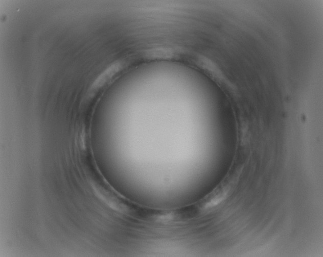 X0000074310068200609081952