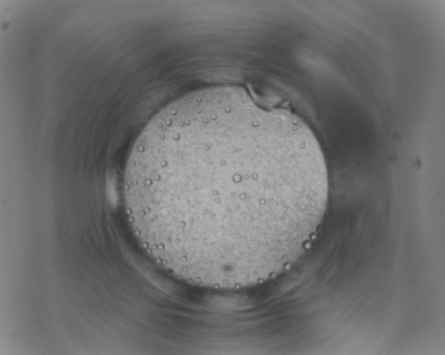 X0000074310069200609081952