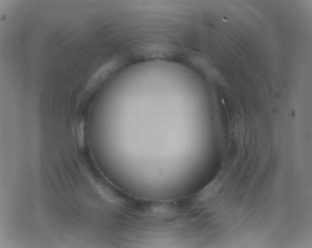 X0000074310070200609081952