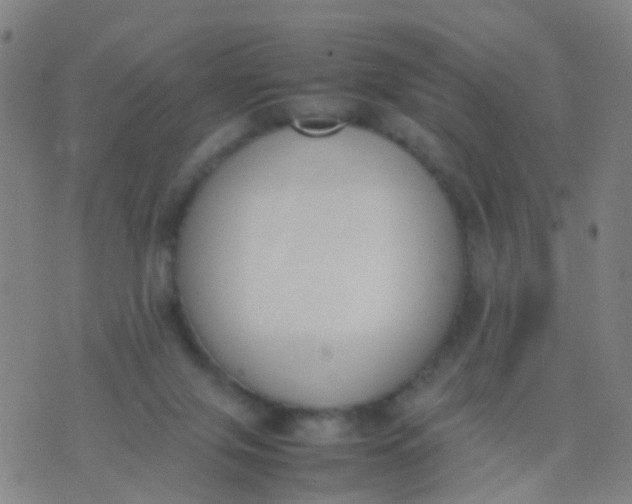 X0000074310071200609081952