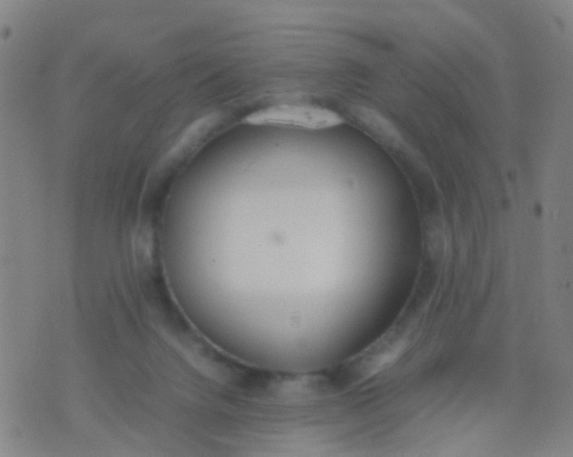 X0000074310072200609081952