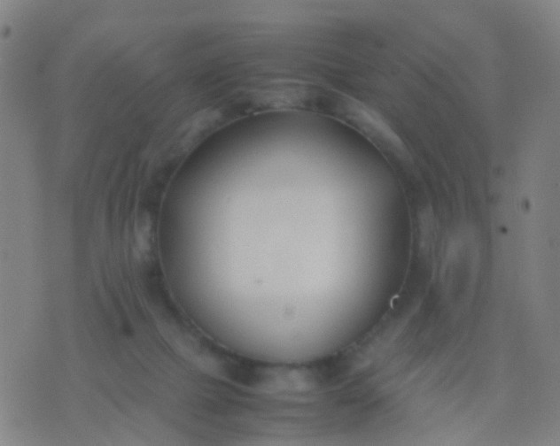 X0000074310073200609081952