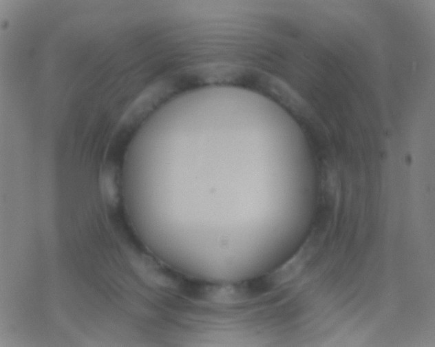 X0000074310074200609081952