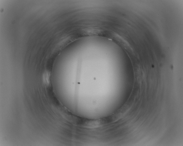 X0000074310075200609081952