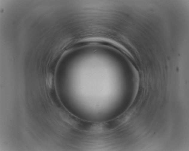 X0000074310076200609081952